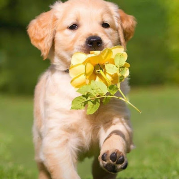 Meet your Posher, Kamalpreet - Picture 1 of 1